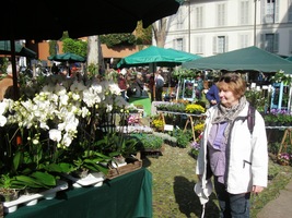 se konají květinové trhy