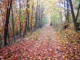 Byl to ale strmý výstup a síly docházely