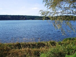 Rybníky jsou tu stříbrné i modré