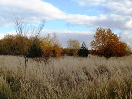 Vracíme se plání na svahu vrchu Vidoule