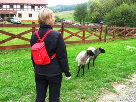 a tady už končíme u farmy v Kokořínském údolí