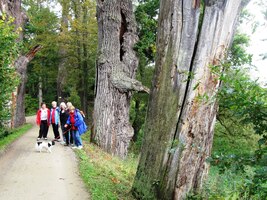ty na hrázích prý i Krčína