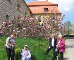 a zde Starý zámek - muzeum