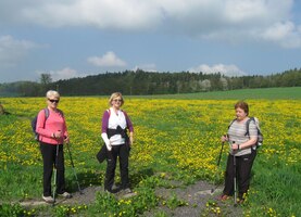 do kraje žlutých květů
