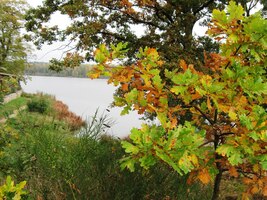 a pak před místní raritou -