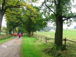 a dále cestou k Lutové