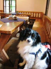 Fuj, je tam mokro, jdeme na polívku!