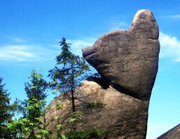 a tahle? No, jasně, mňááááu...