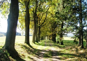 a vracíme do města