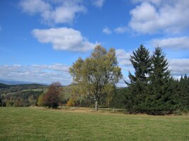 a den už je veskrze slunečný