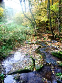 Další den vyrážíme Opárenským údolím,