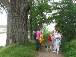 Za městem pak začíná alej