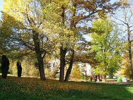 Zpět do města se jde alejí kolem potoka