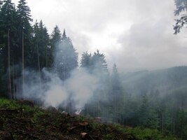 Oheň nikoliv partyzánský, ale dřevařský