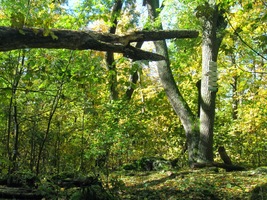 až na vrch Špičák