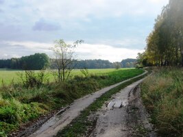 Cesty jsou maličko rozmoklé