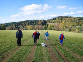 Obracíme zpět k Šerlichu