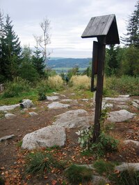 a raději zamířili k "domovu"