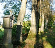 lemovaná alejí nádherných dubů