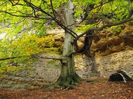 Přejíždíme zpátky do Čech