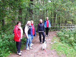 Je po deštích, ale příjemně