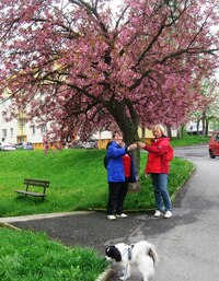 J 2013 První foto u nádraží v Klatovech