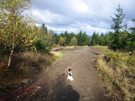 Rambo vyráží vpřed