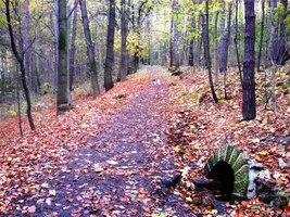 zpět na košířskou Šmukýřku