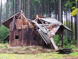 Tady někomu spadl strom na střechu