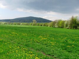 nádhernou jarní krajinou