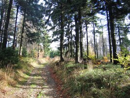 Máme to teď do kopce,