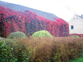 a přicházíme do Opárna