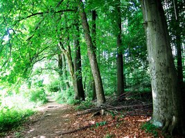 Je vedro a stoupáme