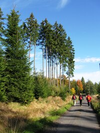 Kolem nás je barevný Český les