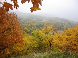 a tak jsme to pro dnešek vzdali