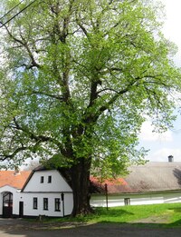 a pak sestupujeme do vsi Poleň,