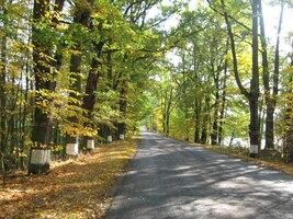 až k těmto nádherným vyhlídkám