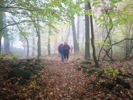 I cesta mlhou měla svůj půvab