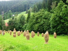 a typických valašských panáků