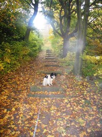 ale pak už neprodleně vyrazili