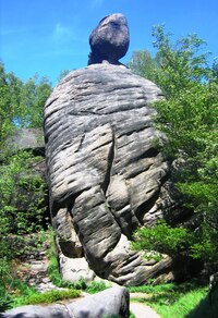 Tahle vypadá jako hokejový brankář