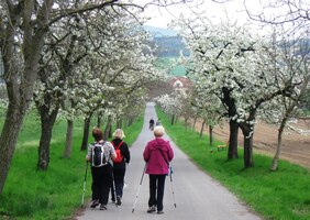 Scházíme zpět do Chudenic
