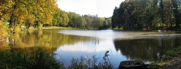 kteří si tu loví něco k nedělnímu obědu