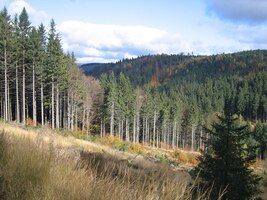 Slunce! Ranní mlha je zapomenuta