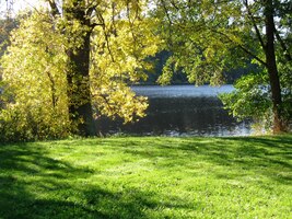 Odpoledne jsme projeli osadou Branka