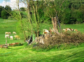 Tady už ale začínají pastviny