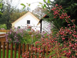 přioděn do barev podzimu