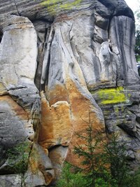 Tady to hraje barvami řas, mechů a lišejníků