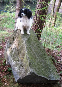 I Rambovi se na Kamýcku líbilo!