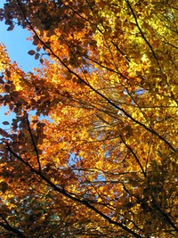 Opouštíme přírodní rezervaci